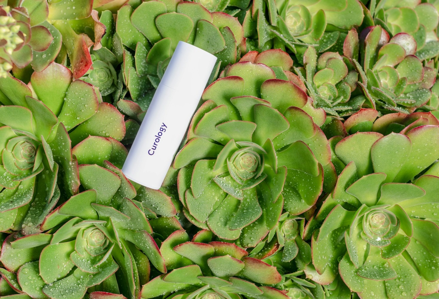 The Benefits of Using Product Review Platforms