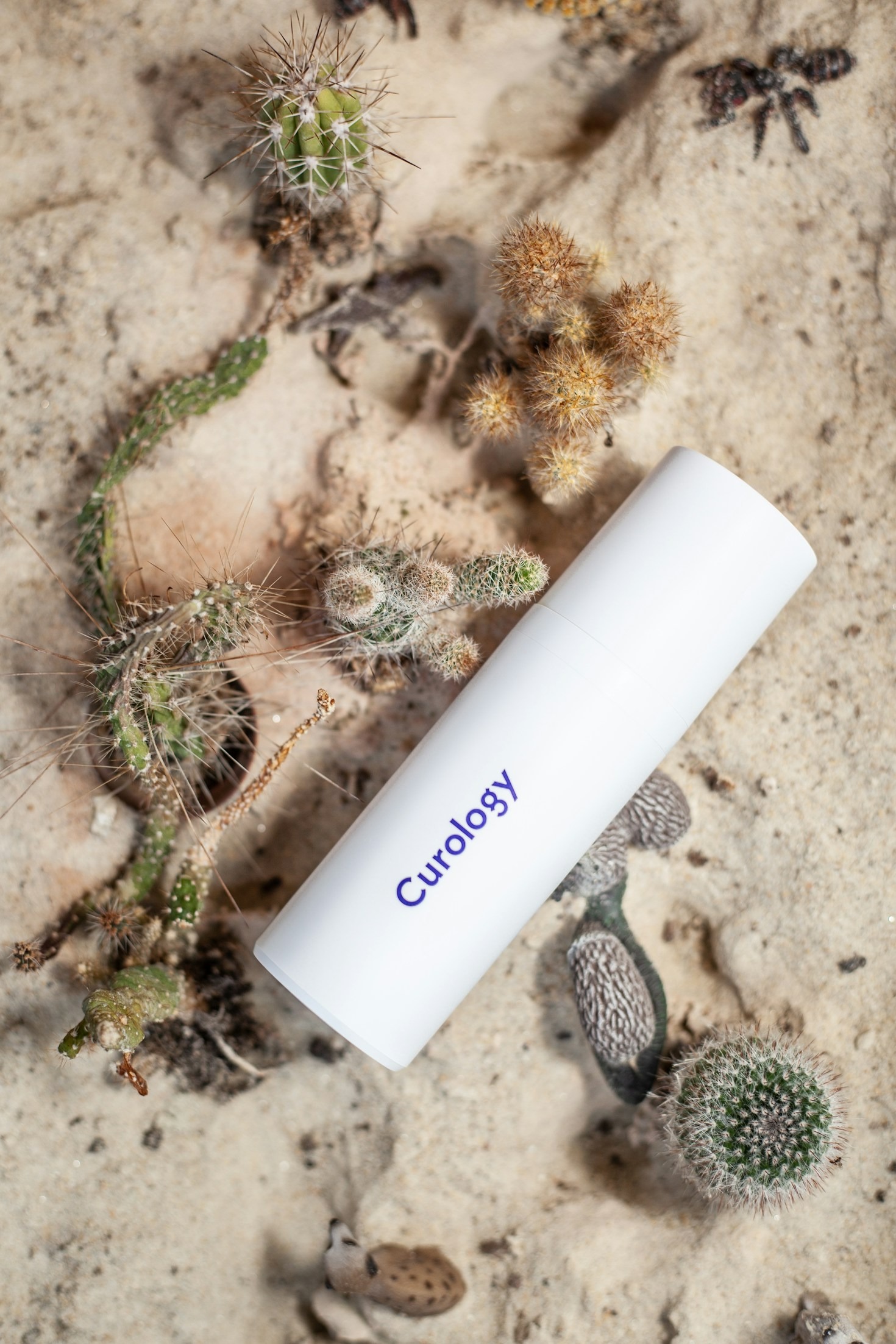 Digital vs. Physical Products: A Shopping Guide